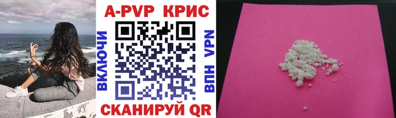 закладки  Чайковский  APVP СК КРИС 