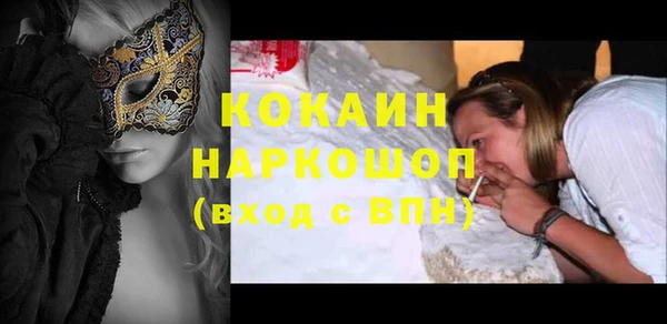 гашик Алексин