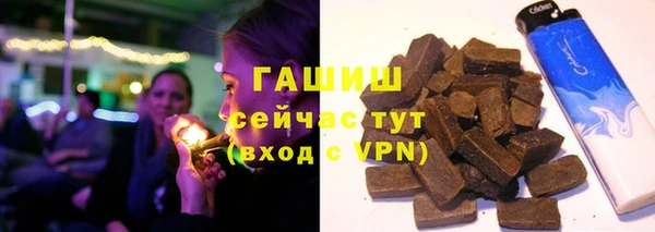 гашик Алексин