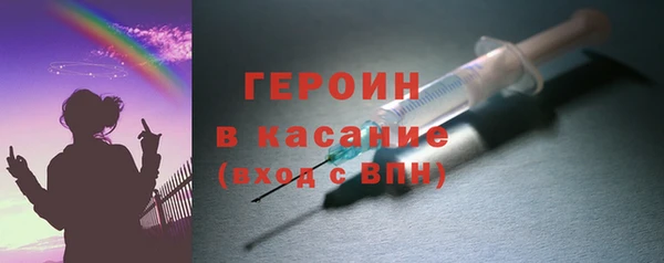гашик Алексин