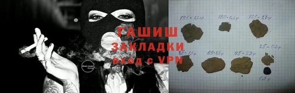 гашик Алексин