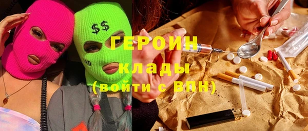 гашик Алексин