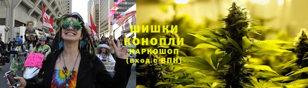 гашик Алексин